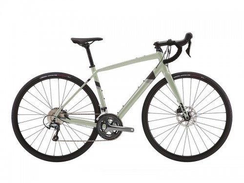 2026 FELT (フェルト) VR 40