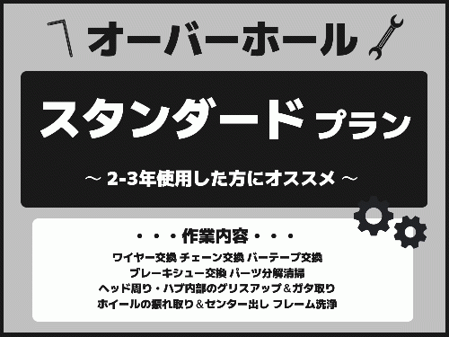 スタンダードプラン【期間限定特典あり】【今ならラバッジョ洗車付】
