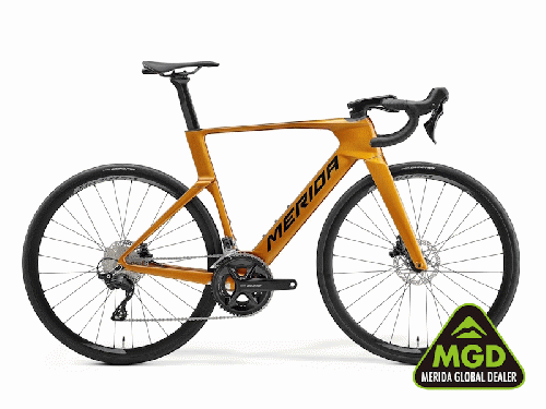 2027 MERIDA (メリダ) REACTO 4000 (リアクト 4000)ミネラルゴールド (ブラック) EX19 ※パートナーショップ&公式ストア限定カラー