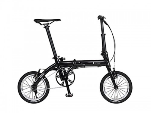 RENAULT (ルノー) PLATINUM LIGHT6 (プラチナライト6)グラスブラック