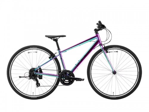 2026 MARIN (マリン) DONKY JR 700 LIMITED (ドンキージュニア 700 リミテッド)グロスネブラ