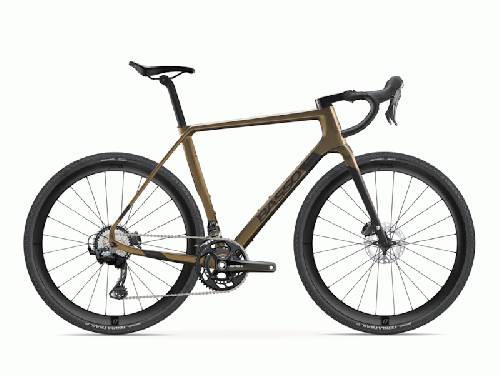 2025 BASSO (バッソ) PALTA (パルタ)【仕様あり】ゴールドバーン