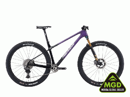 2025 MERIDA (メリダ) BIG.NINE 10K (ビッグ ナイン 10K)