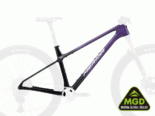 2025 MERIDA (メリダ) BIG.NINE 10K (ビッグ ナイン 10K) フレームセットスプラッターパープル/ブラック (フラッシュBCP) EMKI
