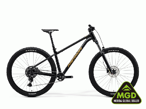 2025 MERIDA (メリダ) BIG.TRAIL 300 (ビッグ トレイル 300)