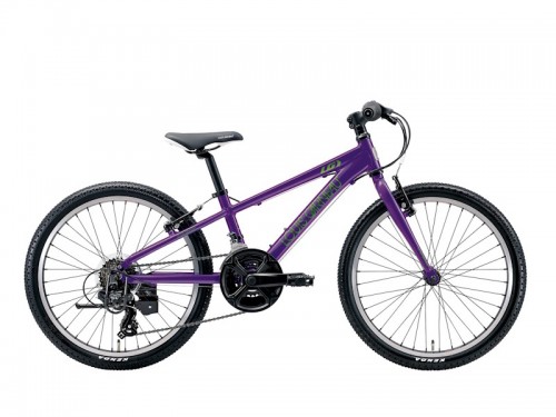 2025 LOUIS GARNEAU (ルイガノ) J22ミッドナイトパープル