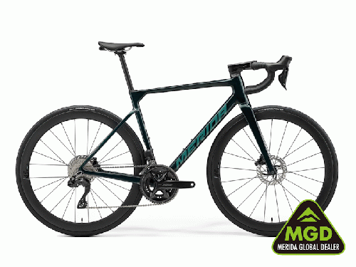2026 MERIDA (メリダ) SCULTURA 4000 (スクルトゥーラ 4000)ハログリーン (シルバーグリーン) FG10