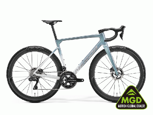 2027 MERIDA (メリダ) SCULTURA TEAM (スクルトゥーラ チーム)【予約受付中】