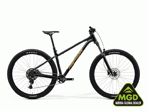 2025 MERIDA (メリダ) BIG.TRAIL 300 (ビッグ トレイル 300)【予約受付中】ブラック (ブラウン) FK14