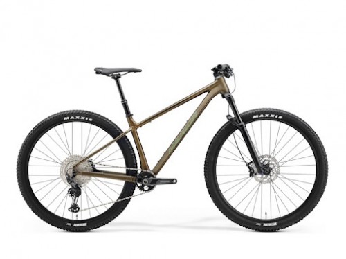 2024 BIG.NINE TR LIMITED (ビッグナイン TR リミテッド)【予約受付中】