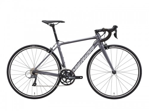 2025 MERIDA (メリダ) SCULTURA RIM 100 (スクルトゥーラ リム 100)シルクアンスラサイト EK82