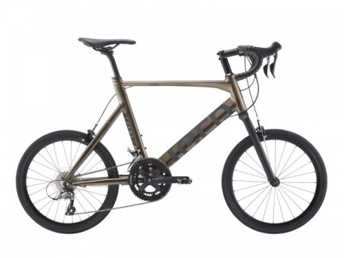 2026 tern (ターン) SURGE (サージュ)ブラス(限定カラー)