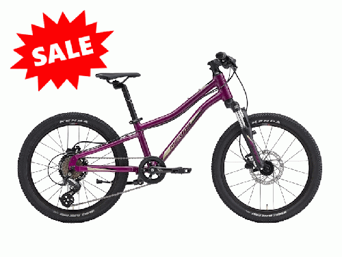 2025 MERIDA (メリダ) MATTS J.20 (マッツ J.20)【クリスマスセール】パープル (ブラック/シャンパン) EM09