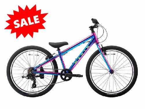 2025 MARIN (マリン) DONKY JR 24 LIMITED (ドンキージュニア 24 リミテッド)【新春セール】グロスギャラクシー