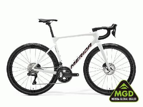 2025 MERIDA (メリダ) SCULTURA 8000 (スクルトゥーラ 8000)