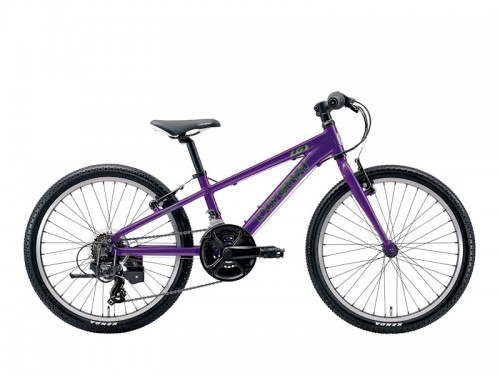 2026 LOUIS GARNEAU (ルイガノ) J22ミッドナイトパープル