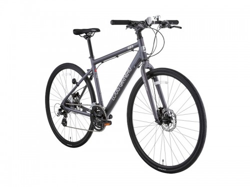 2026 LOUIS GARNEAU (ルイガノ) SETTER9.0DISC (セッター 9.0 ディスク)マットアイスグレー