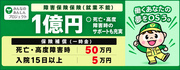 自転車TS保険(緑)
