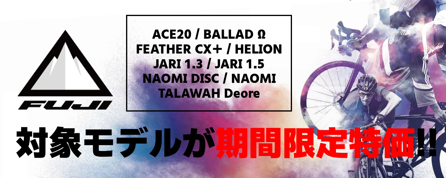 FUJI SALE